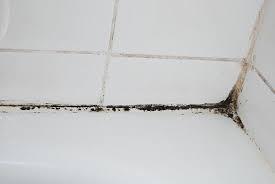 Mould growing on the shower wall, showing dark patches on tiles.